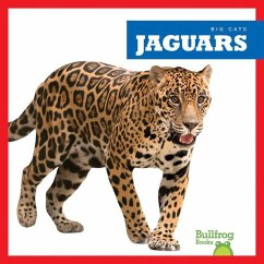 Jaguars - Brandle, Marie