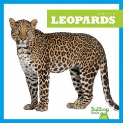 Leopards - Brandle, Marie