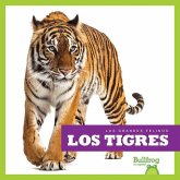 Los Tigres (Tigers)