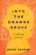 Into the Orange Grove - Bild 1