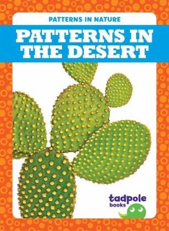 Patterns in the Desert - Nilsen, Genevieve