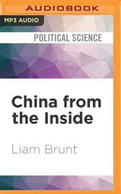 China from the Inside: Letters from an Economist - Brunt, Liam