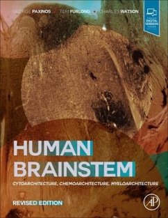Human Brainstem - Paxinos, George; Furlong, Teri; Watson, Charles