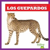 Los Guepardos (Cheetahs)