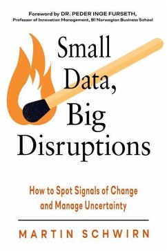 Small Data, Big Disruptions - Schwirn, Martin (Martin Schwirn)