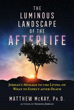 The Luminous Landscape of the Afterlife - McKay, Matthew