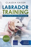 Labrador Training