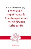 Lebensfülle - experimentelle Erprobungen eines theologischen Leitbegriffs