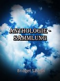 Anthologie-Sammlung von Bridget Sabeth (eBook, ePUB)