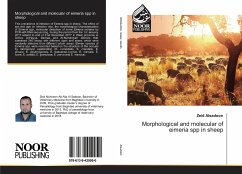 Morphological and molecular of eimeria spp in sheep - Alsadoon, Zeid