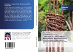 Corrosion In Carbon Steel: Mechanisms And Protections