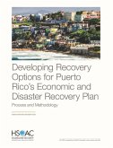 Developing Recovery Options for Puerto Rico's Economic and Disaster Recovery Plan: Process and Methodology