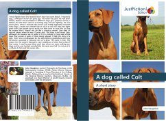 A dog called Colt - Haughton, John