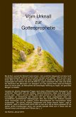 Vom Urknall zur Gottesprophetie (eBook, ePUB)