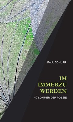 IM IMMERZU WERDEN (eBook, ePUB) - Schurr, Paul