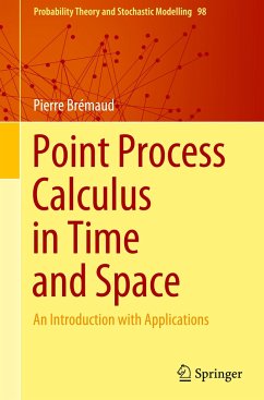 Point Process Calculus in Time and Space - Brémaud, Pierre