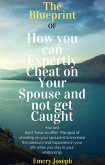 The Blueprint of How you can Expertly Cheat on Your Spouse and not get Caught (eBook, ePUB)