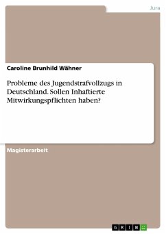 Probleme des Jugendstrafvollzugs in Deutschland. Sollen Inhaftierte Mitwirkungspflichten haben? (eBook, PDF) - Wähner, Caroline Brunhild