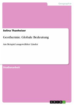 Geothermie. Globale Bedeutung (eBook, PDF)