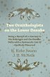 Two Ornithologists on the Lower Danube... - Bild 1