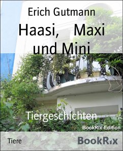 Haasi, Maxi und Mini (eBook, ePUB) - Gutmann, Erich
