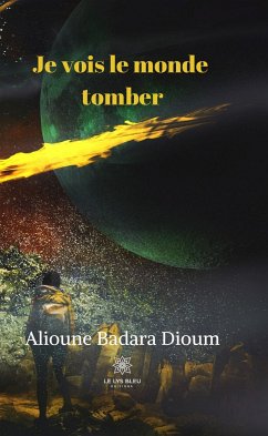 Je vois le monde tomber (eBook, ePUB) - Badara Dioum, Alioune