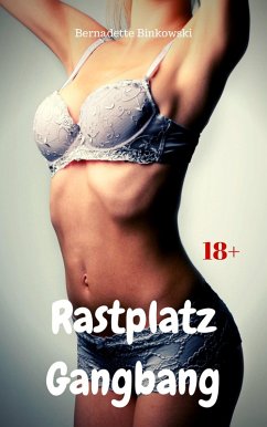 Rastplatz Gangbang (eBook, ePUB) Cover Rastplatz Gangbang (eBook, ePUB)