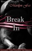 Break In (eBook, ePUB)