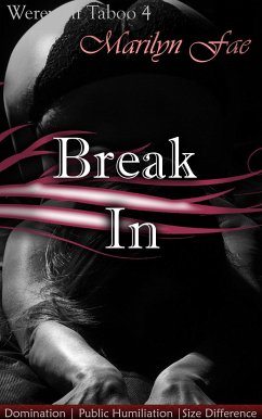 Break In (eBook, ePUB) - Fae, Marilyn