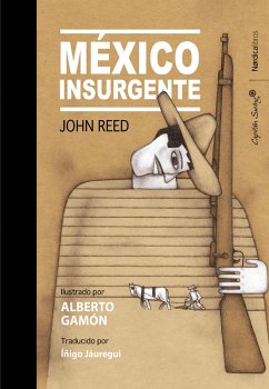 Cover México insurgente (eBook, ePUB)