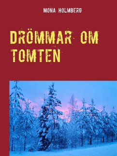 Drömmar om tomten (eBook, ePUB)