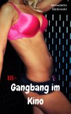 Gangbang im Kino (eBook, ePUB)