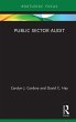 Public Sector Audit (eBook, ePUB) - Bild 1