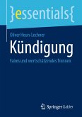 Kündigung (eBook, PDF)