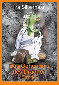 Das Geheimnis des Drachen (eBook, ePUB)