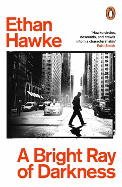 A Bright Ray of Darkness (eBook, ePUB) - Hawke, Ethan