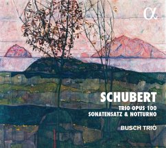 Trio Opus 100/Sonatensatz/Notturno - Busch Trio