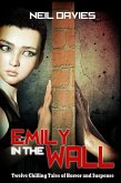 Emily in the Wall: Twelve Chilling Tales of Horror and Suspense (eBook, ePUB)