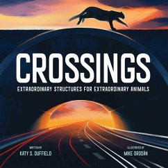 Crossings (eBook, ePUB) - Duffield, Katy S.