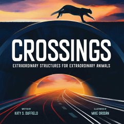 Crossings (eBook, ePUB) Cover Crossings (eBook, ePUB)