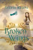 Broken Wings (eBook, ePUB)