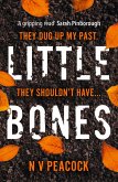 Little Bones (eBook, ePUB)