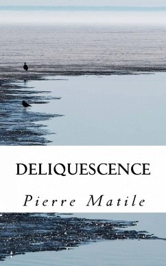 Cover Deliquescence (eBook, ePUB)
