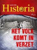 Het volk komt in verzet (eBook, ePUB)