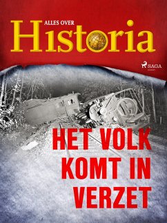 Cover Het volk komt in verzet (eBook, ePUB)