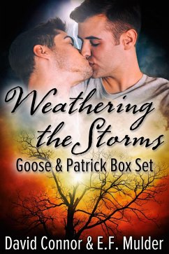 Cover Weathering the Storms Box Set (eBook, ePUB)