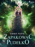 Zapakować w pudełko (eBook, ePUB)