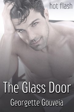 Glass Door (eBook, ePUB) Cover Glass Door (eBook, ePUB)