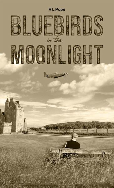 Bluebirds in the Moonlight (eBook, ePUB) Bluebirds in the Moonlight (eBook, ePUB)