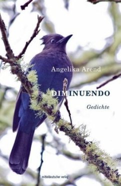 Diminuendo (Mängelexemplar) - Arend, Angelika